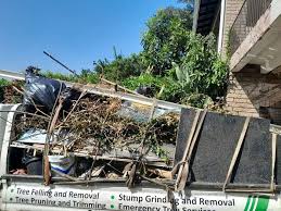 Best Same-Day Junk Removal Services  in Wolf Trap, VA